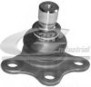 CITRO 364056 Ball Joint